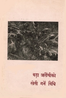 बड़ा अलैंचीको खेती गर्ने विधि | Bara Alainchiko Kheti Garne Vidhi